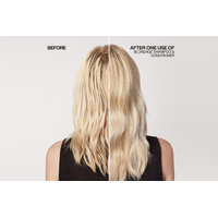 Redken Blondage Duo Pack